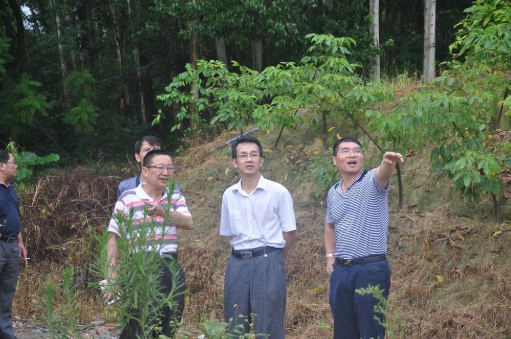 广东省林业厅厅长陈俊光调研我院